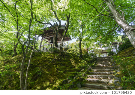 綠意盎然的常寂光寺，從末吉坂看到的鐘樓（京都嵯峨野） 101796420