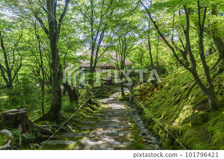 綠意盎然的常寂光寺 從末吉坂看到的仁王門（京都嵯峨野） 101796421