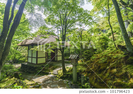 綠意盎然的常寂光寺 從末吉坂看到的仁王門（京都嵯峨野） 101796423