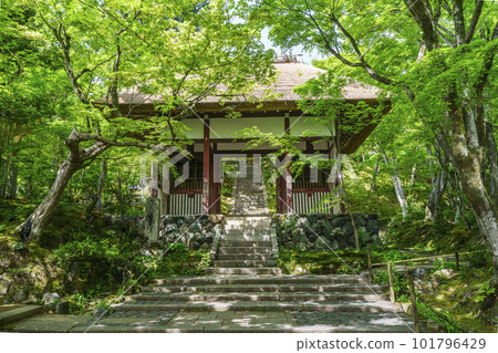 Jojakko-ji Temple surrounded by fresh greenery Niomon Gate (Sagano, Kyoto) Jojakko-ji Temple surrounded by fresh greenery Niomon Gate (Sagano, Kyoto) 101796429