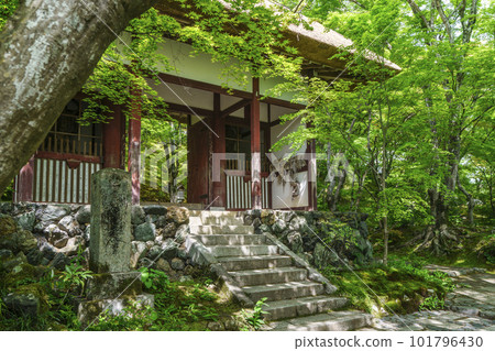 Jojakko-ji Temple surrounded by fresh greenery Niomon Gate (Sagano, Kyoto) 101796430