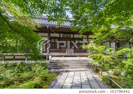 常寂光寺正殿（京都嵯峨野）被鮮豔的綠葉包圍 101796442