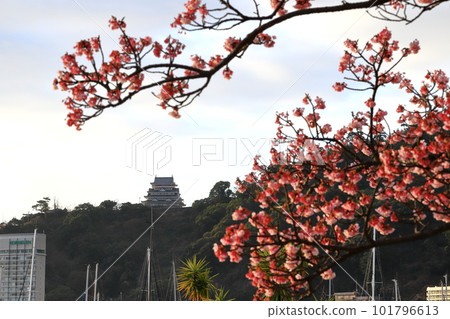 Atami Onsen, Shizuoka Prefecture Atami Castle and Atami Sakura 101796613