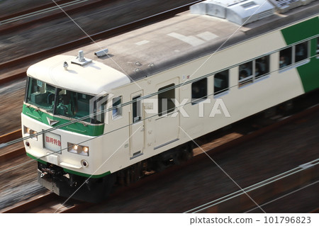 Temporary limited express Ashikaga Ofuji Festival (185 series train) 101796823