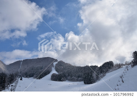 Skiers down the slopes of Nozawa Onsen Ski Resort Skiers down the slopes of Nozawa Onsen Ski Resort 101796992