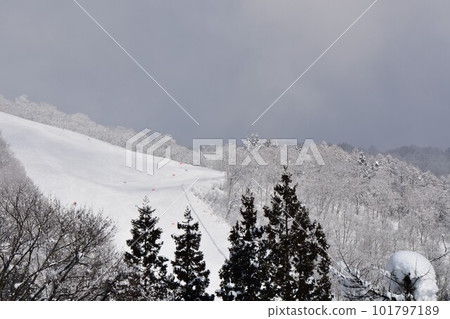 野澤溫泉滑雪場滑雪者在大霧中滑下斜坡 101797189
