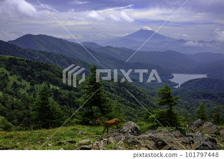 A distant view of Mt. Fuji from the Daibosatsumine mountain trail 101797448