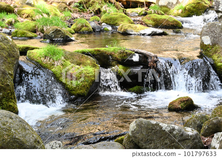 Sawana River mountain stream flow [Nasushiobara City, Tochigi Prefecture] 101797633