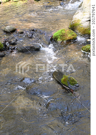 澤名川山間溪流[栃木縣那須鹽原市] 101797641