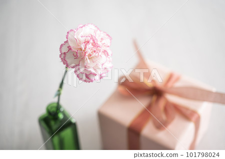 康乃馨花瓶和禮品盒 101798024