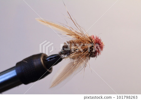 Fly fishing hairy dry fly spring seminar fly cicada 101798263