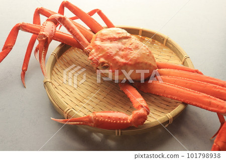 Red snow crab protruding from the colander Red snow crab protruding from the colander 101798938
