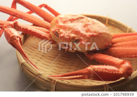 Red snow crab served in a colander from the front Red snow crab served in a colander from the front 101798939