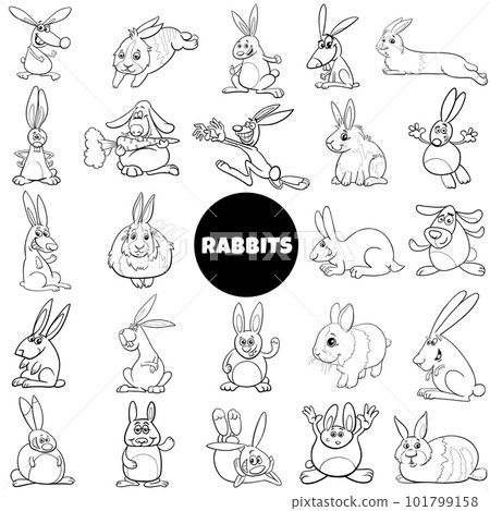funny cartoon rabbits animal characters big set 101799158