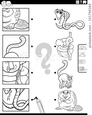 match cartoon animals and clippings task coloring page match cartoon animals and clippings task coloring page 101799169