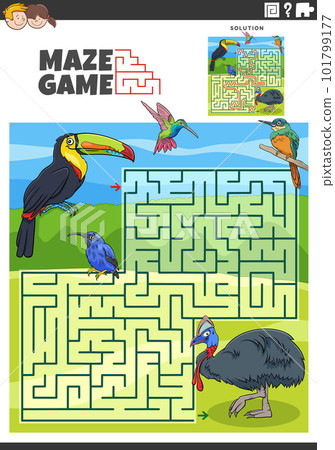 maze game activity with cartoon birds animal characters maze game activity with cartoon birds animal characters 101799177