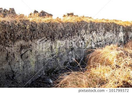 Peat Turf cutting in County Donegal - Ireland 101799372