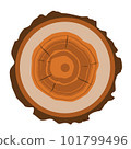 Flat design illustration of a cross section of a tree trunk with rings and bark, vector 101799496