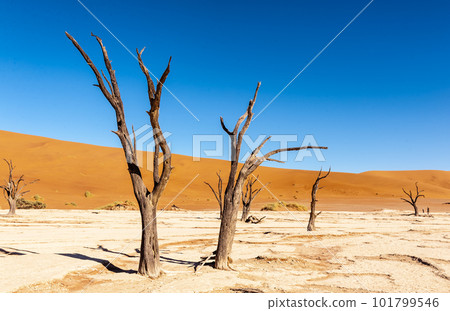 Barren landscape near Deadvlei and sossusvlei Barren landscape near Deadvlei and sossusvlei 101799546