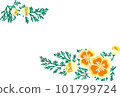 初夏花加州鴉片花框 101799724