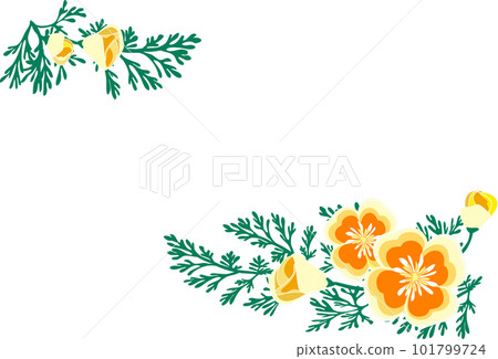 初夏花加州鴉片花框 初夏花加州鴉片花框 101799724