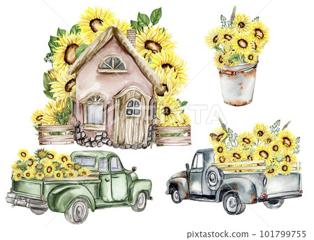 Watercolor farm composition with sunflowers in cartoon style. Hand drawn illustration of summer. Perfect for scrapbooking, kids design, wedding invitation, posters, greetings cards. 101799755