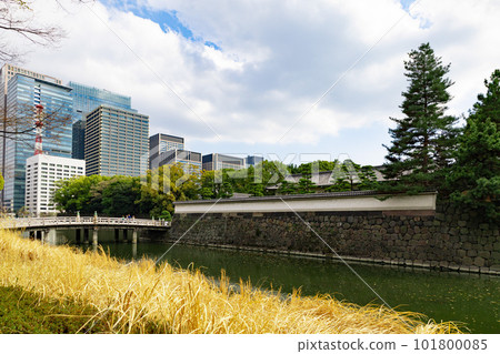 High-rise buildings in the business district of Marunouchi, Otemachi in early spring, the Imperial Palace and the Takebashi entrance of Edo Castle (Chiyoda-ku, Tokyo) 101800085