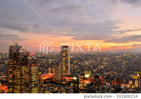從東京都廳大樓看新宿夜景 101800114