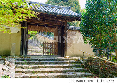 [Nara Prefecture] Byakugoji Temple in Nara City (taken on April 11, 2023) 101800776