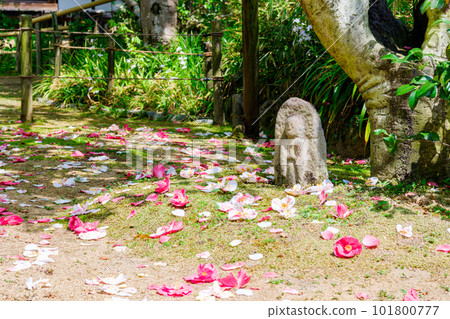 【奈良縣】奈良市白悟寺（2023年4月11日拍攝） 101800777