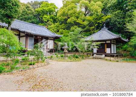 [Nara Prefecture] Byakugoji Temple in Nara City (taken on April 11, 2023) 101800784