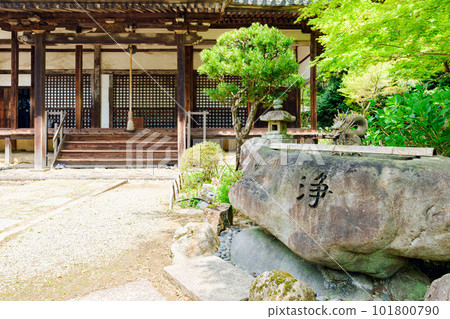 [Nara Prefecture] Byakugoji Temple in Nara City (taken on April 11, 2023) 101800790