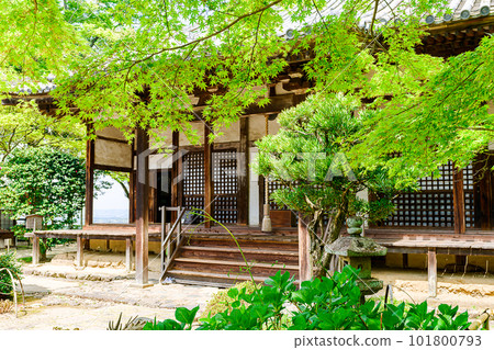 [Nara Prefecture] Byakugoji Temple in Nara City (taken on April 11, 2023) 101800793