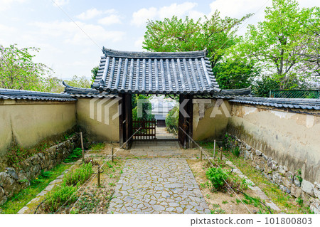 [Nara Prefecture] Byakugoji Temple in Nara City (taken on April 11, 2023) 101800803