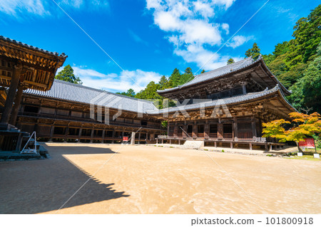 [Saigoku 33 Temples] No. 27 Engyoji Temple Nishiya Halls and Autumn Blue Sky 1 兵庫縣姬路市 101800918