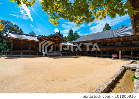 [Saigoku 33 temples] No. 27 Engyoji Temple Jogyodo dining hall and autumn blue sky 1 兵庫縣姬路市 101800930