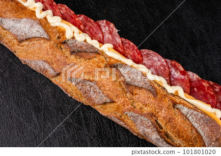 Sandwich sandwich with plenty of vegetables Sandwich sandwich with plenty of vegetables 101801020