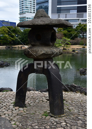 Shiba Rikyu 17 101801336