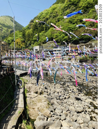 Tsuetate Onsen soaring carp streamers Tsuetate Onsen soaring carp streamers 101801509
