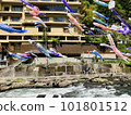 Carp streamers of Shikade Onsen 101801512