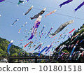 Carp streamers flying high in the sky Swimming carp streamers 101801518