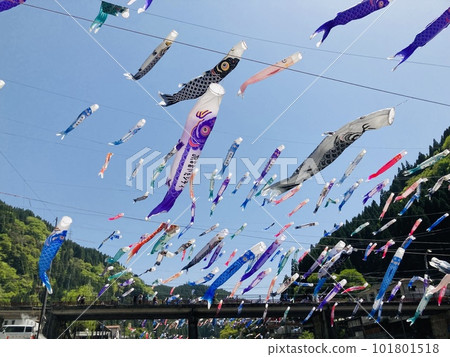 Carp streamers flying high in the sky Swimming carp streamers 101801518