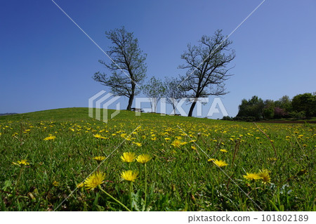 Green Hills Tsuyama, an urban park in Tsuyama City, Okayama Prefecture 101802189