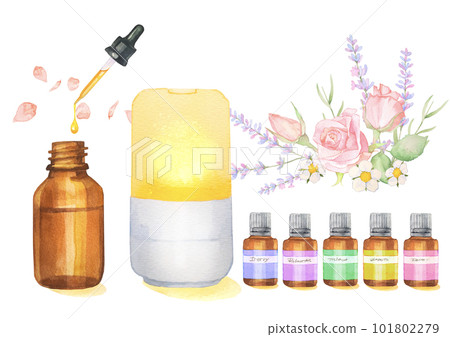 Watercolor illustration of aroma oil and rose and lavender scent 101802279
