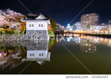 Odawara City, Kanagawa Prefecture Odawara Castle and cherry blossoms at night Odawara City, Kanagawa Prefecture Odawara Castle and cherry blossoms at night 101802487