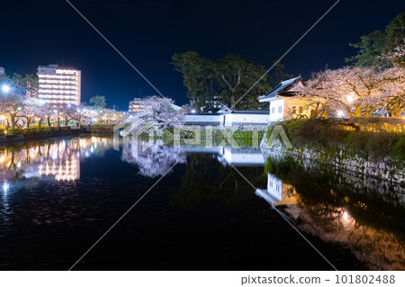 Odawara City, Kanagawa Prefecture Odawara Castle and cherry blossoms at night 101802488