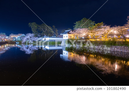 Odawara City, Kanagawa Prefecture Odawara Castle and cherry blossoms at night Odawara City, Kanagawa Prefecture Odawara Castle and cherry blossoms at night 101802490
