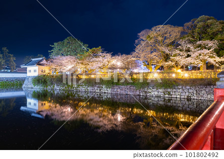 Odawara City, Kanagawa Prefecture Odawara Castle and cherry blossoms at night Odawara City, Kanagawa Prefecture Odawara Castle and cherry blossoms at night 101802492