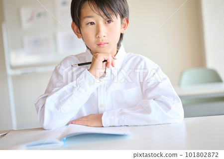 Elementary school boy studying 101802872