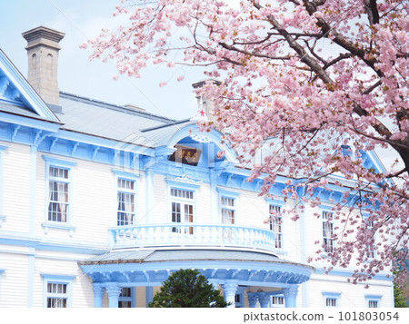 北海道中島公園 Hoheikan 和櫻花風景的絕佳景色 101803054